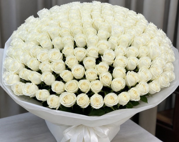100 White Roses